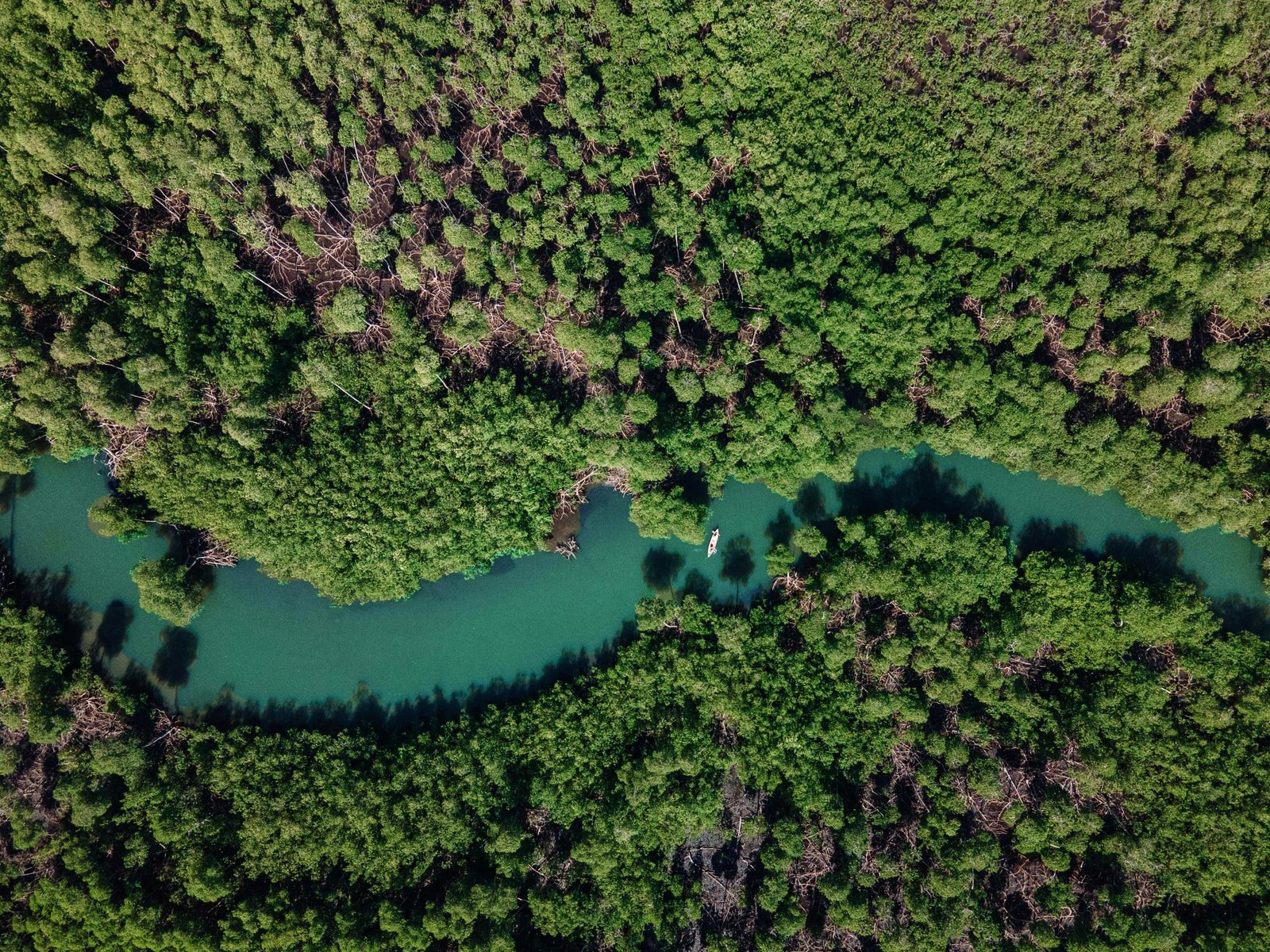 Mountain Bikes + Taino’s Canoe Los Haitises - Image 8