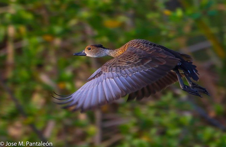 Mountain Bikes + Taino’s Canoe Los Haitises - Image 12