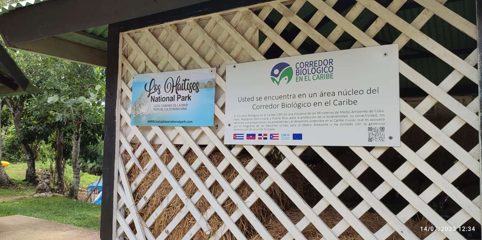 Miches: Los Haitises, Transfer, Walking & Boat tour. - الصورة 5